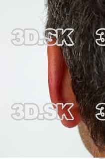 Ear texture of Gregory 0003